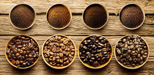 فروش دانه قهوه درجه یک کشور کنیا