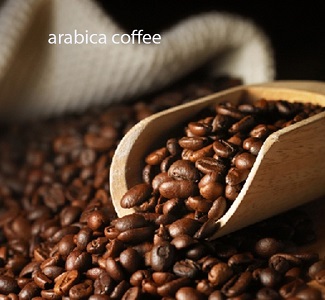 خرید و فروش قهوه عربیکا