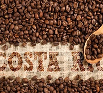 واردات پودر قهوه کاستاریکا فله درجه یک